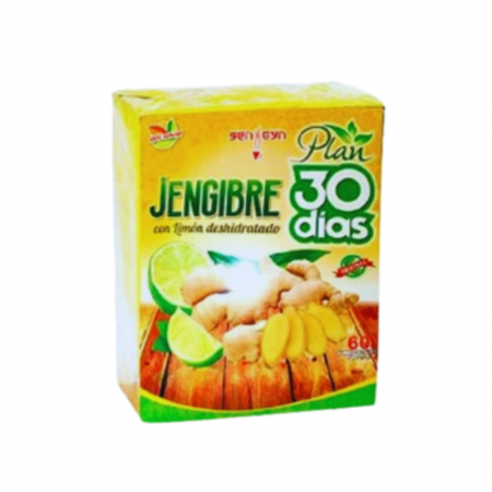 Te de jengibre x60 Und sen gyn