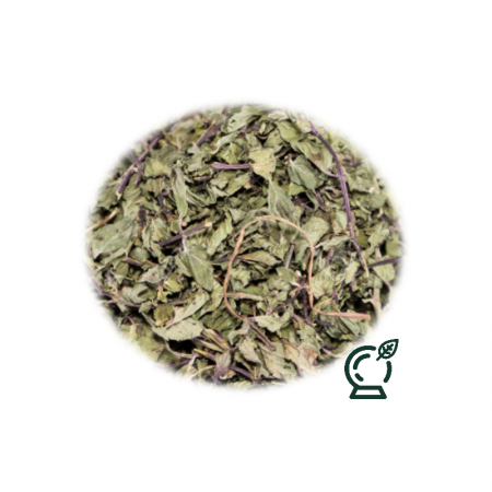 Menta en hierba