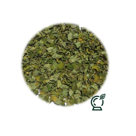 Moringa en hierba