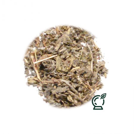 Salvia en hierba