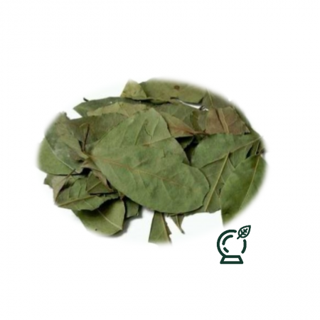 Te verde en hierba